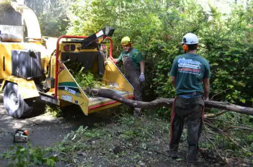 tree services Boyes Hot Springs